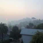 The Paradise Fire.
Apocalyptic scenes and smoke that burned the back of my nose. I've never experienced anything like it.
